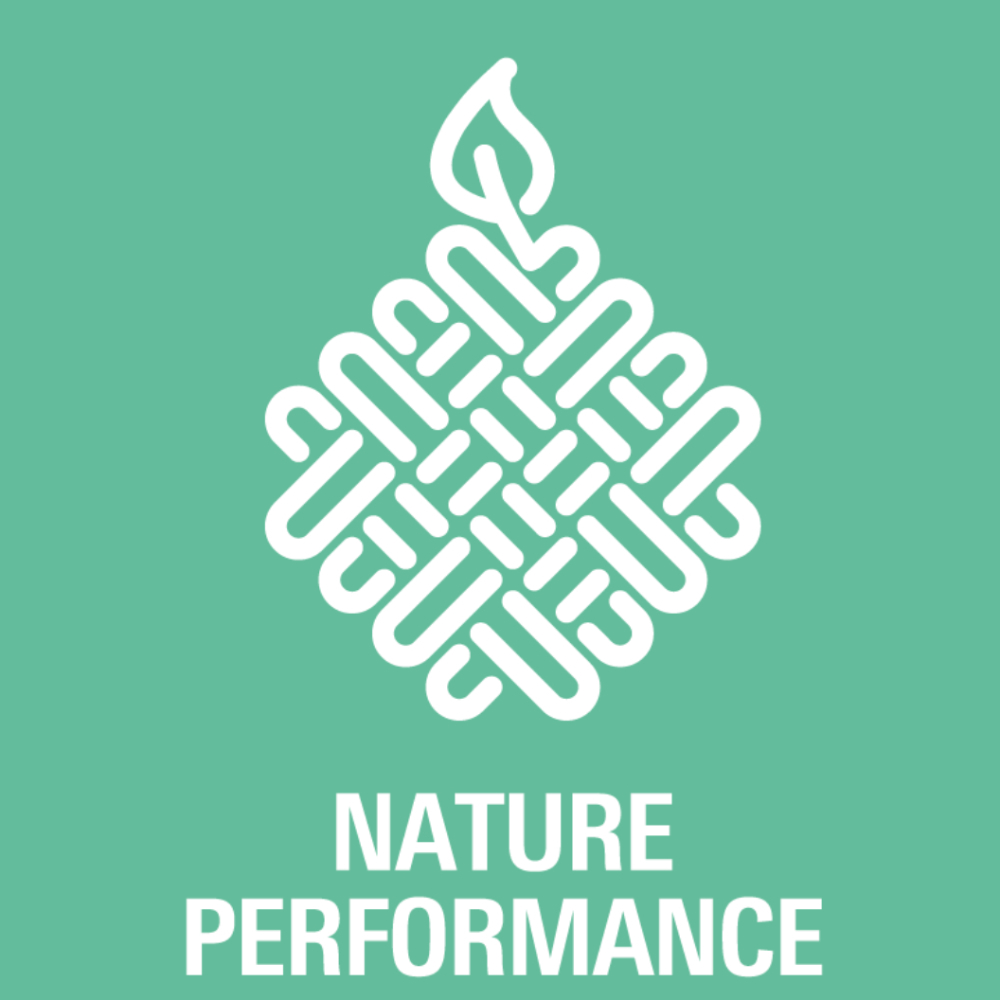 Nature Performance Icon