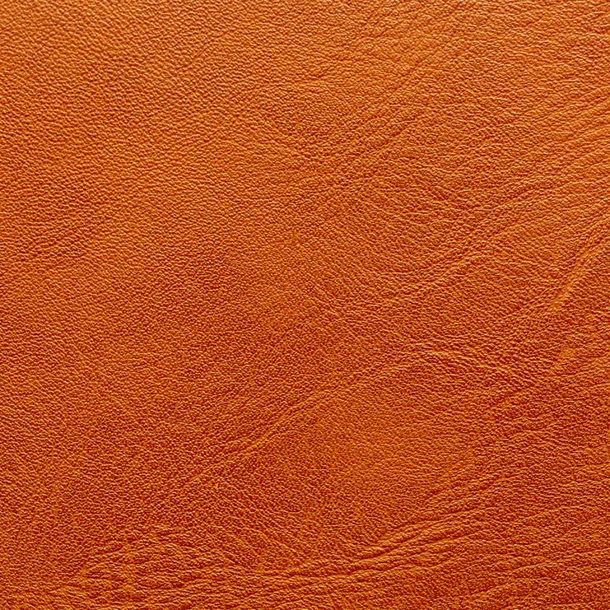 txp-alternative-leathers-1-1