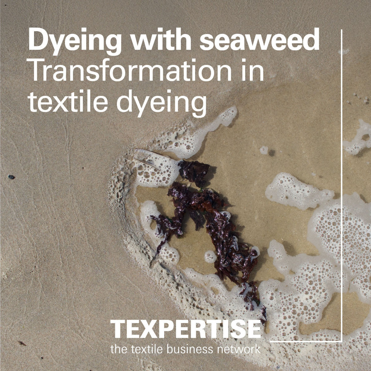 Sea water on the beach with seaweed