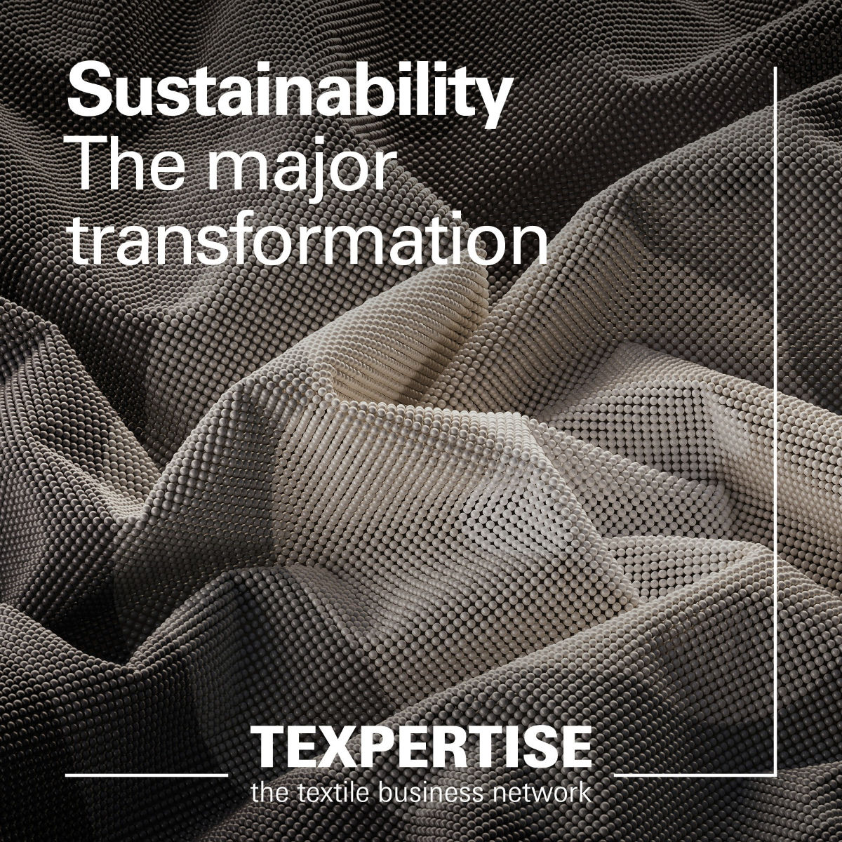 txp-econogy-transformation-teaser